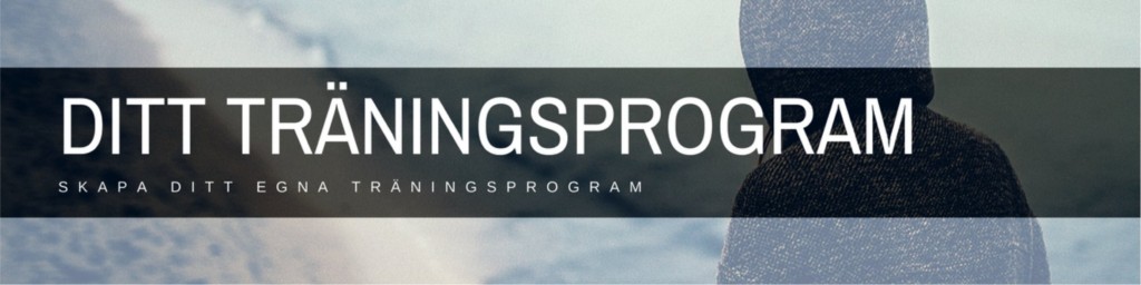 eget träningsprogram eget träningsprogram