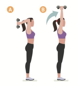 träna triceps gym träna triceps gym