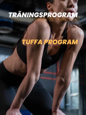 Tuffa program