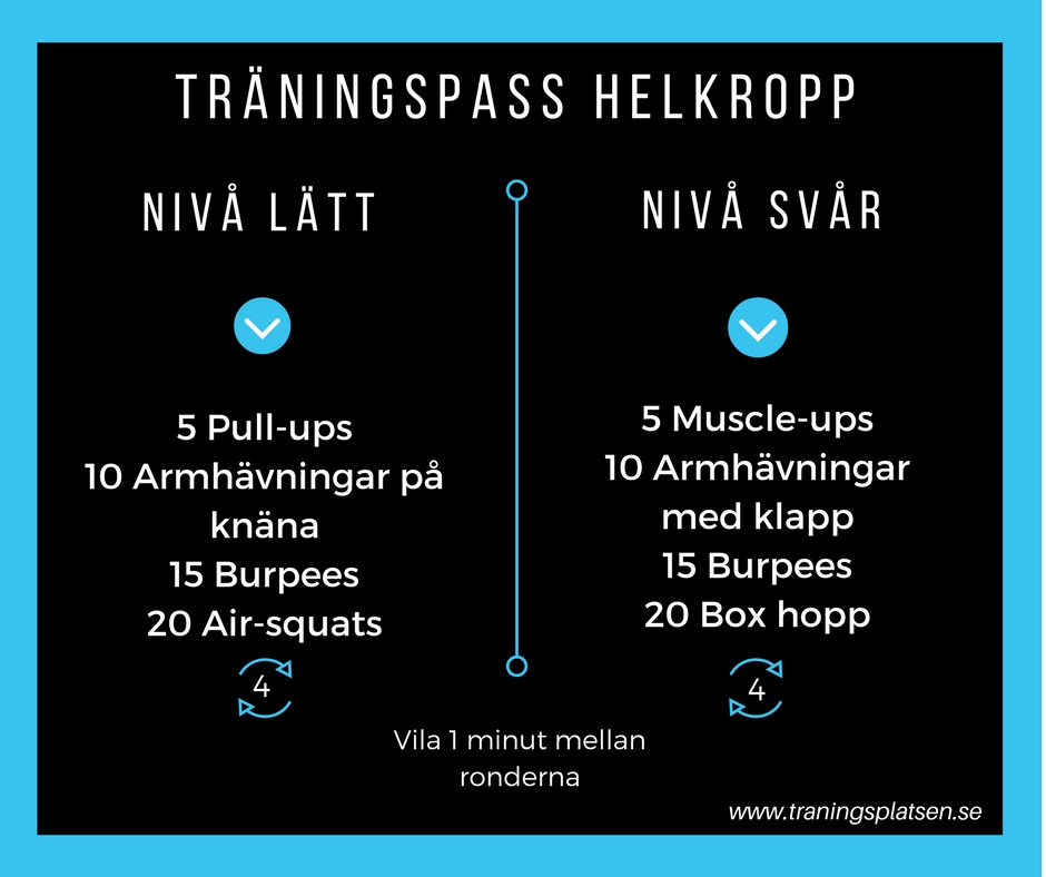 träningsprogram helkropp