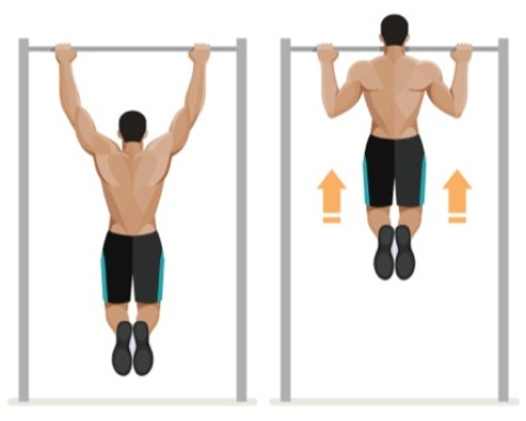 Chins / Pullups