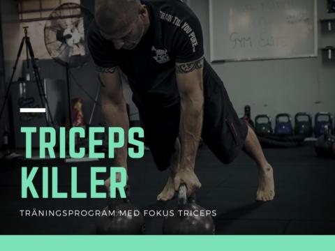 Träningsprogram triceps