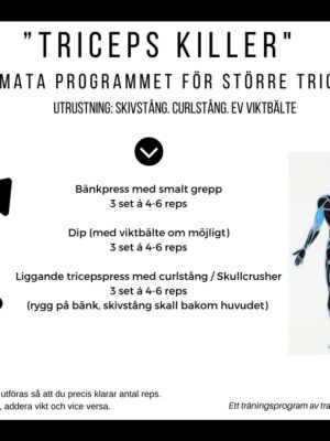 träningsprogram triceps