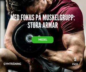 träningsprogram stora armar, bicepsträning, tricepsträning, biceps, triceps, armträning, snygga armar, armmuskler