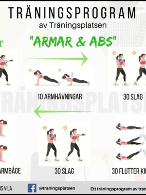 träningsprogram armar och abs, biceps, triceps, magrutor, magmuskler