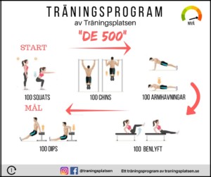 träningsprogram de 500 träningsprogram de 500