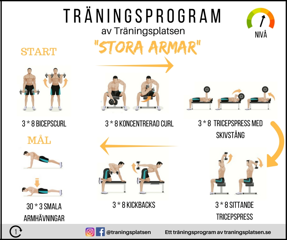 träningsprogram stora armar, bicepsträning, tricepsträning, biceps, triceps, armträning, snygga armar, armmuskler