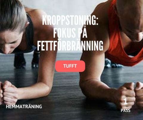 Träningsprogram bränn fett