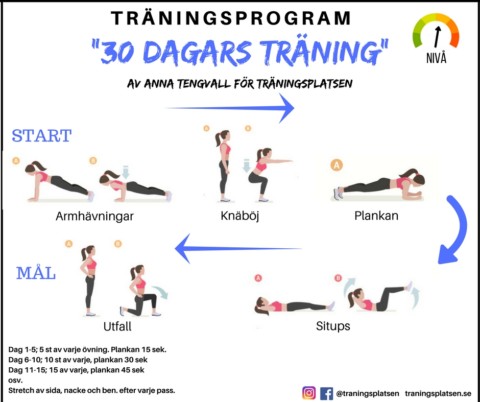 30 dagars träningsprogram – av Anna Tengwall