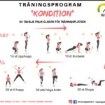 träningsprogram kondition