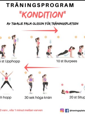 träningsprogram kondition