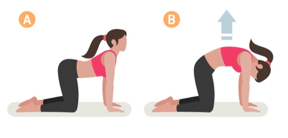 yogaövning katten