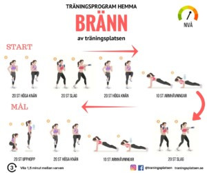 träningsprogram hemma kondition, hemmaträning