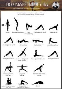 yoga för nybörjare