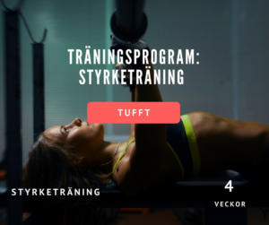 träningsprogram styrketräning