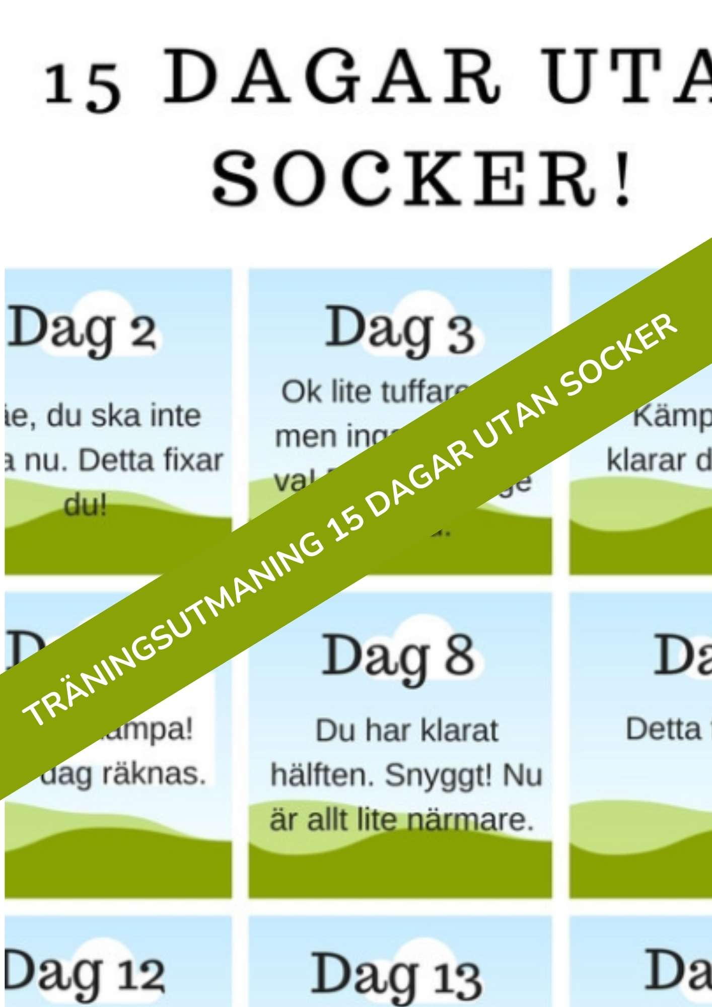 15 dagar utan socker