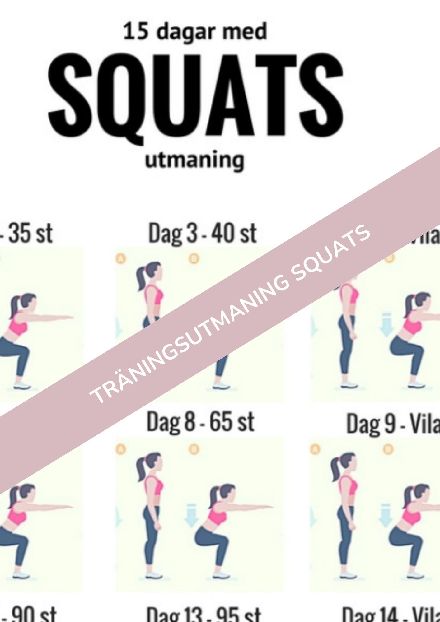 Squats utmaning